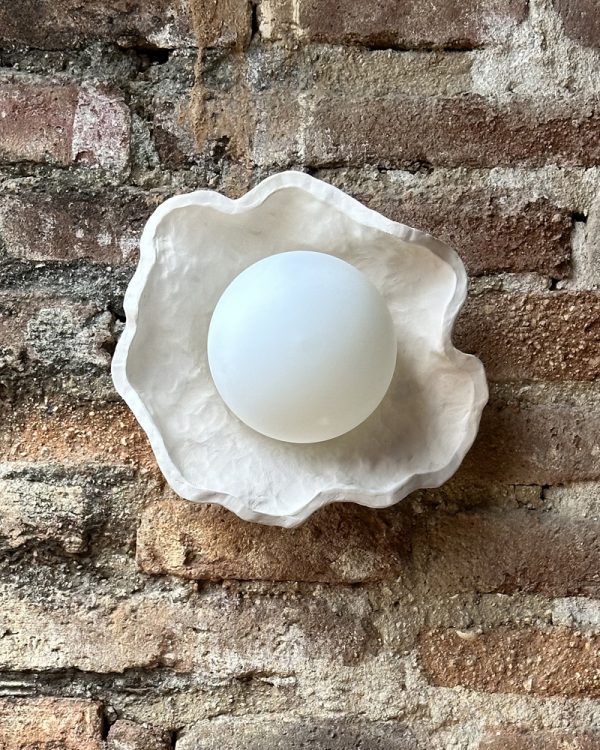 CORAL - Image 3